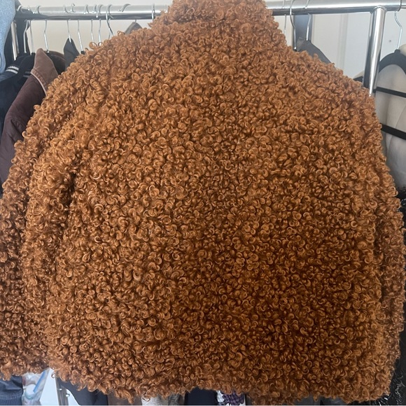 Zara Blogger Brown Teddy Curly Mongolian Faux Fur Coat XS - Picture 4 of 5